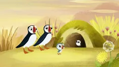 Puffin Rock