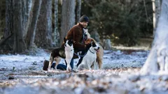 Puppy Love for Christmas