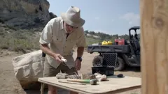 Mystery At Blind Frog Ranch