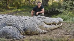 Killer Crocs with Steve Backshall