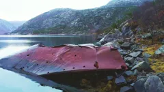 Abandoned Engineering