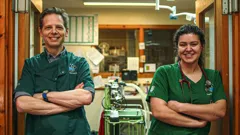 **Visually Signed**The Highland Vet