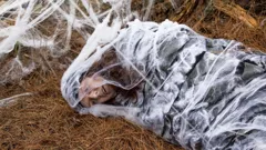 The Brokenwood Mysteries (BSL)