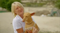 Bargain-Loving Brits in the Sun