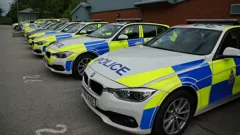 Traffic Cops