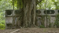 Abandoned Engineering