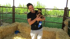 Bargain-Loving Brits in the Sun