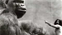 Dark Side of the Ring