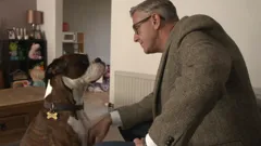 Dogs Behaving (Very) Badly