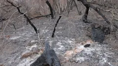 The World's Deadliest Weather