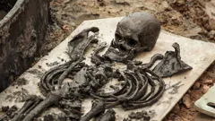 Britain's Biggest Dig