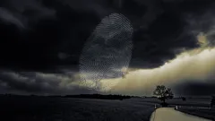 Storm of Suspicion