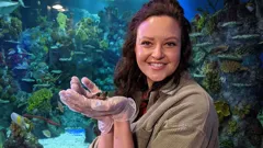 Ferne and Rory's Teeny Tiny Creatures