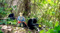 Andy's Wild Adventures