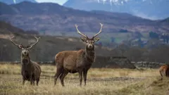 World's Most Scenic Railway Journeys