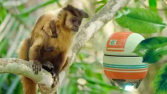 Andy's Global Adventures