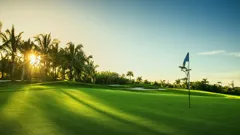 Live PGA Tour Golf