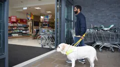 Dog Squad