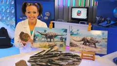 Nina and the Neurons