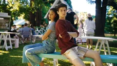 The Curious Case of Dolphin Bay