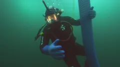 Gold Divers
