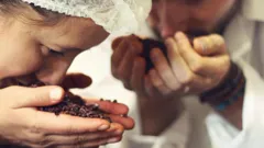 **Visually Signed* The...