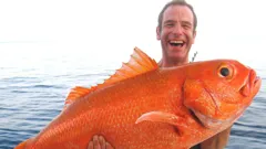 Extreme Fishing with Robson Green
