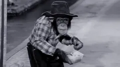 The Beverly Hillbillies