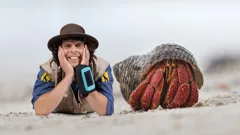 Andy's Safari Adventures