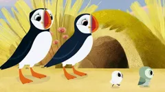 Puffin Rock