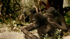 Andy's Prehistoric Adventures