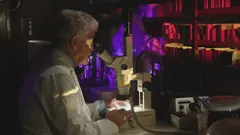 Wrecks That Changed the World