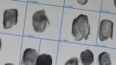 Bloodline Detectives