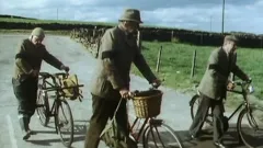 Last of the Summer Wine