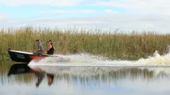 Guardians Of The Glades