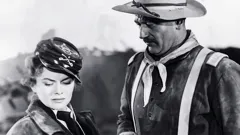 She Wore a Yellow Ribbon