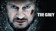 The Grey