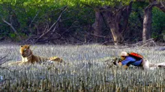 Andy's Wild Adventures