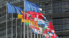 European Parliament Report