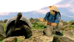 Andy's Wild Adventures