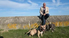 Dogs Behaving (Very) Badly