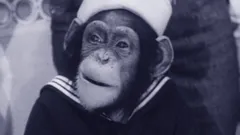 The Beverly Hillbillies