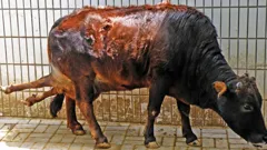 The Proof Is Out There