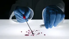 Forensic Detectives