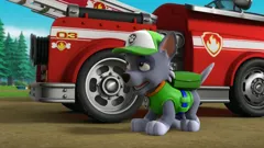 PAW Patrol