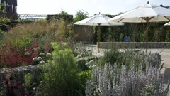 The Art Of The Garden