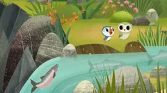 Puffin Rock (As Gaeilge)