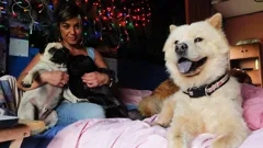 CONFESSIONS: ANIMAL HOARDING