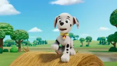 PAW Patrol