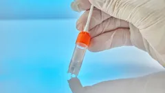 Bloodline Detectives